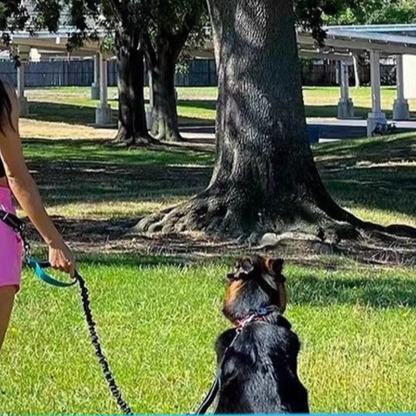 Retractable Reflective Pet Leash