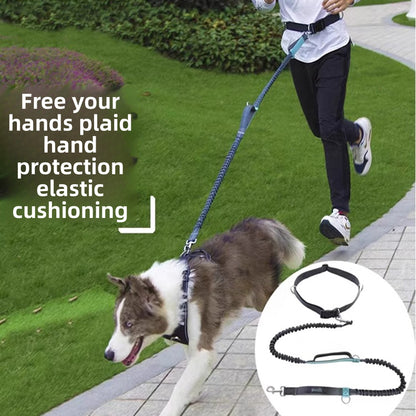 Retractable Reflective Pet Leash