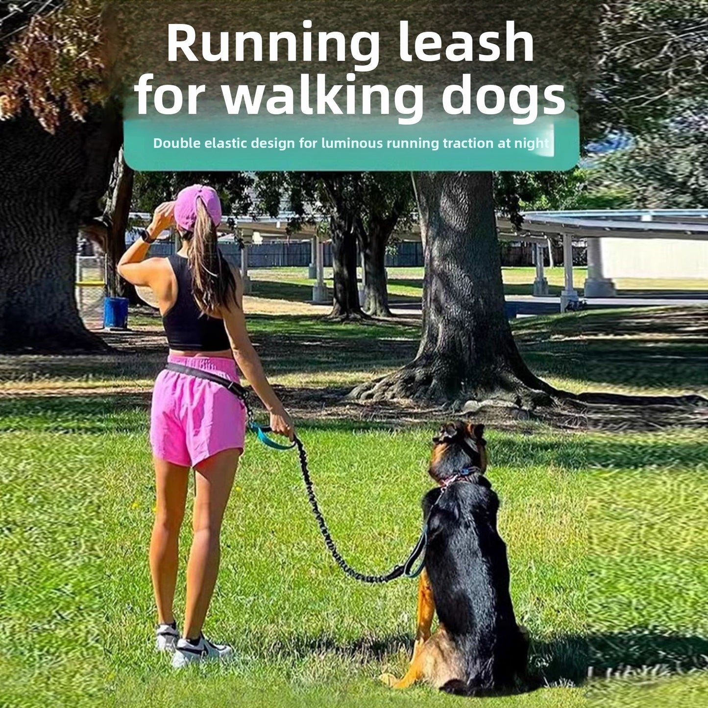 Retractable Reflective Pet Leash