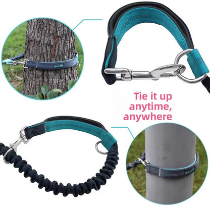 Retractable Reflective Pet Leash