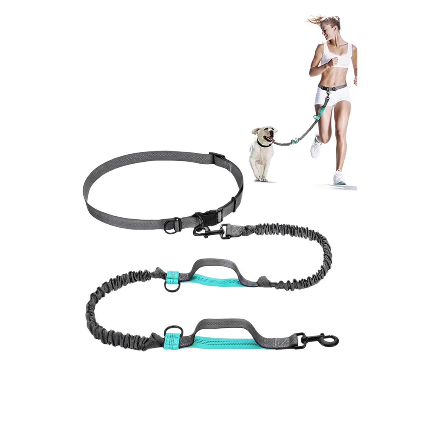 Retractable Reflective Pet Leash