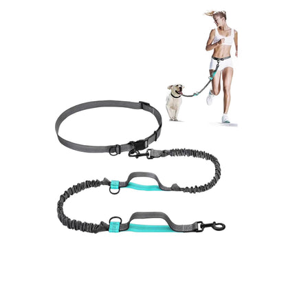 Retractable Reflective Pet Leash
