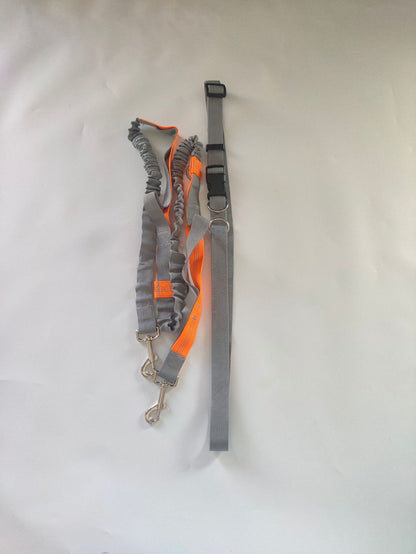 Retractable Reflective Pet Leash