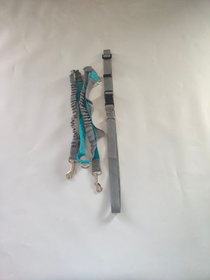 Retractable Reflective Pet Leash