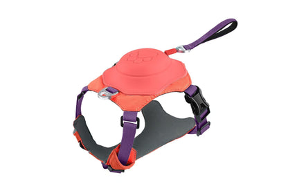 Retractable Vest-Style Dog Harness Leash