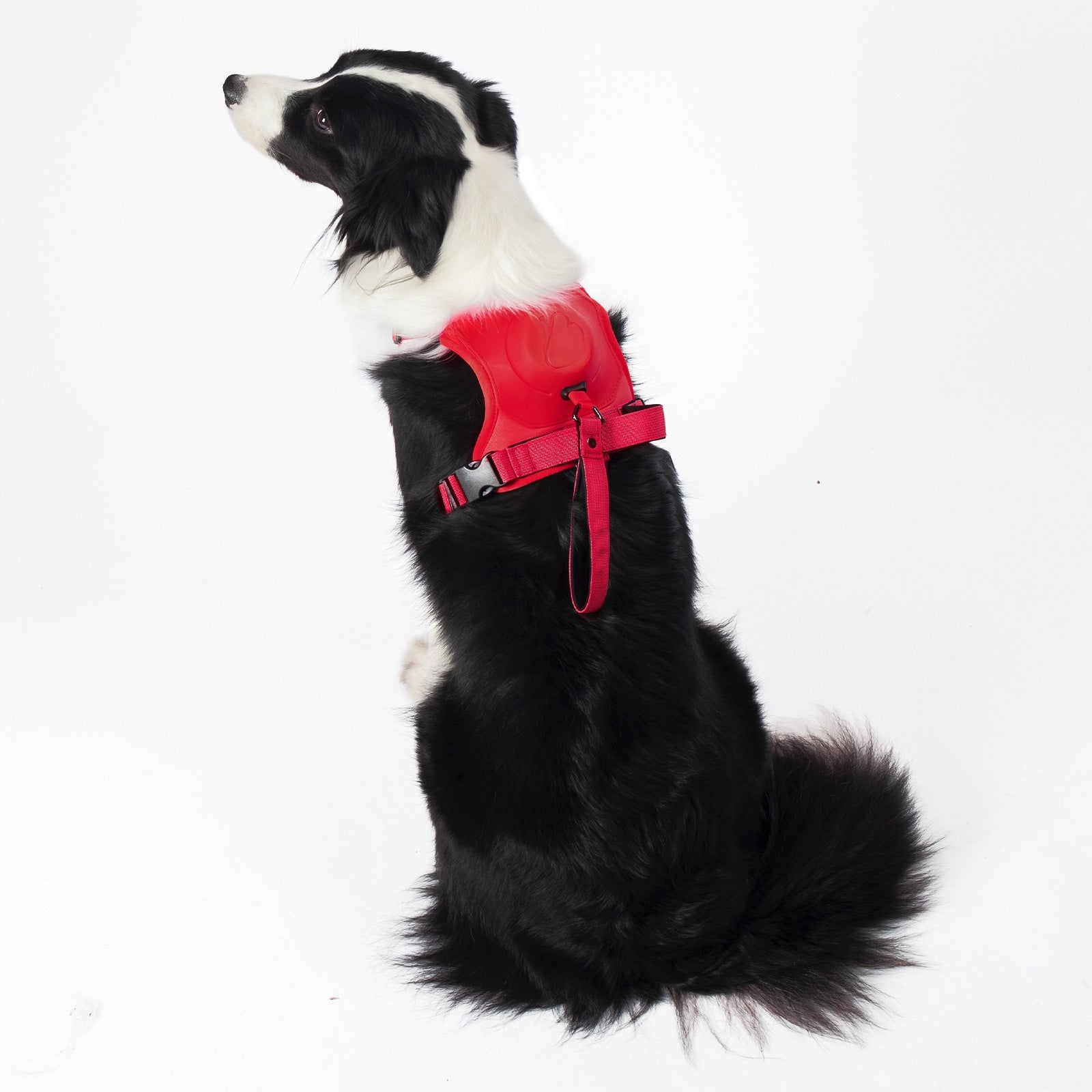 Retractable Vest-Style Dog Harness Leash