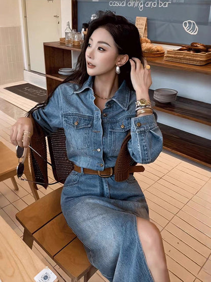 Retro Denim Dress with Polo Collar
