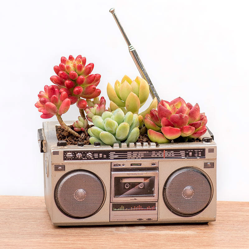Retro Style Resin Succulent Planter