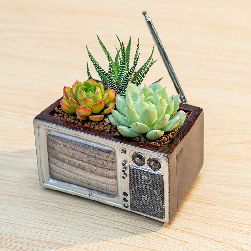 Retro Style Resin Succulent Planter