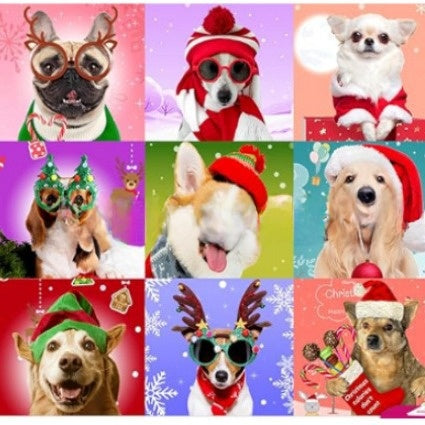 Reusable Dog Advent Calendar for Christmas