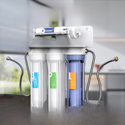 Reverse Osmosis Water Purifier 100G Dual Outlet