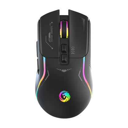 RGB Wired Gaming Mouse
