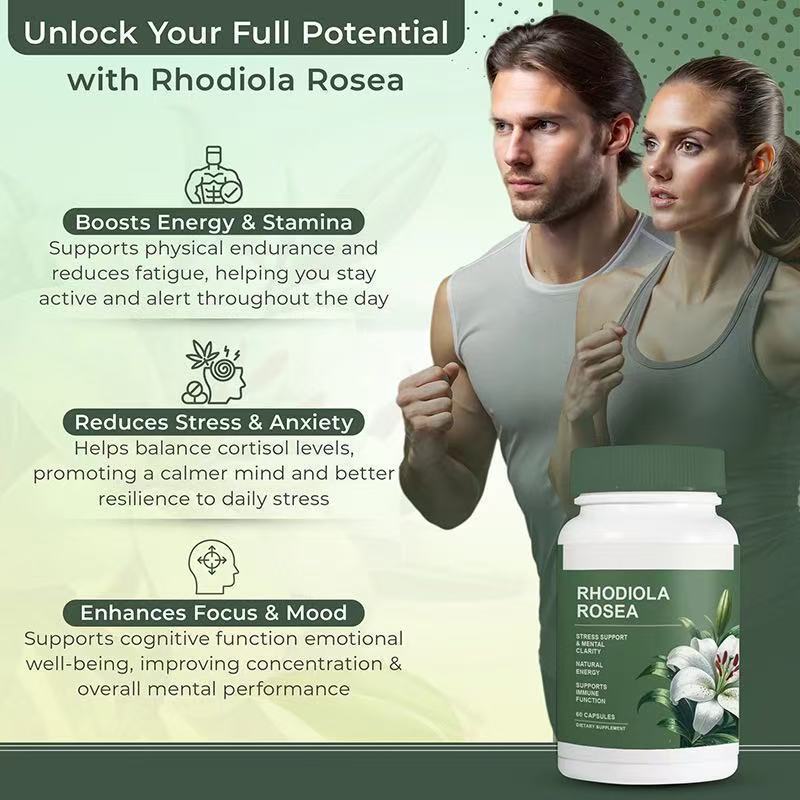 Rhodiola Rosea Extract Capsules