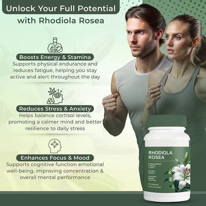 Rhodiola Rosea Extract Capsules