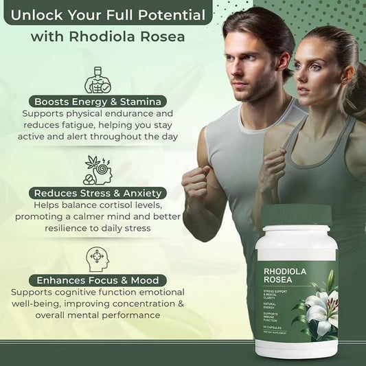 Rhodiola Rosea Extract Capsules