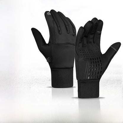 riding gloves