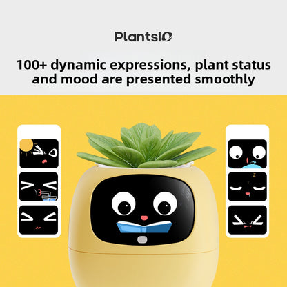 Robot flower pot