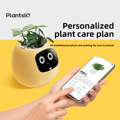 Robot flower pot