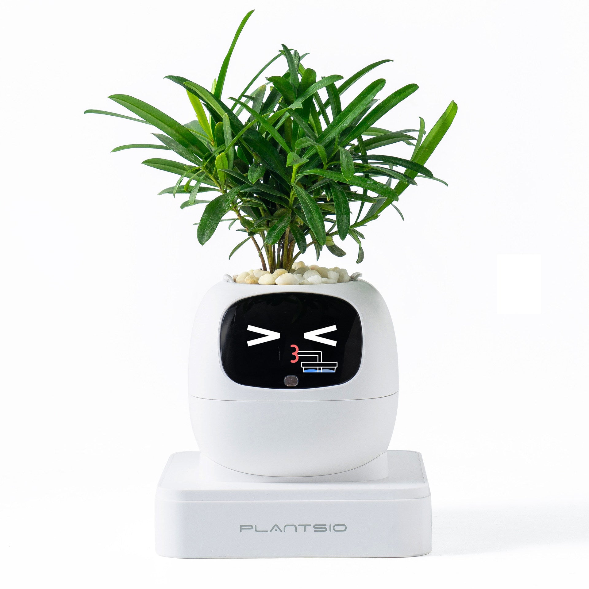 Robot flower pot