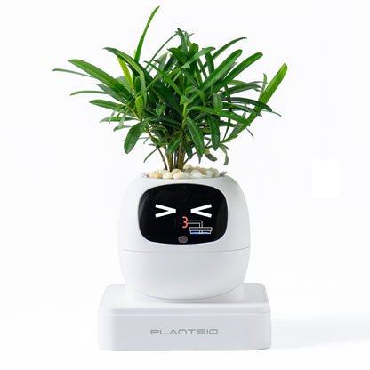 Robot flower pot