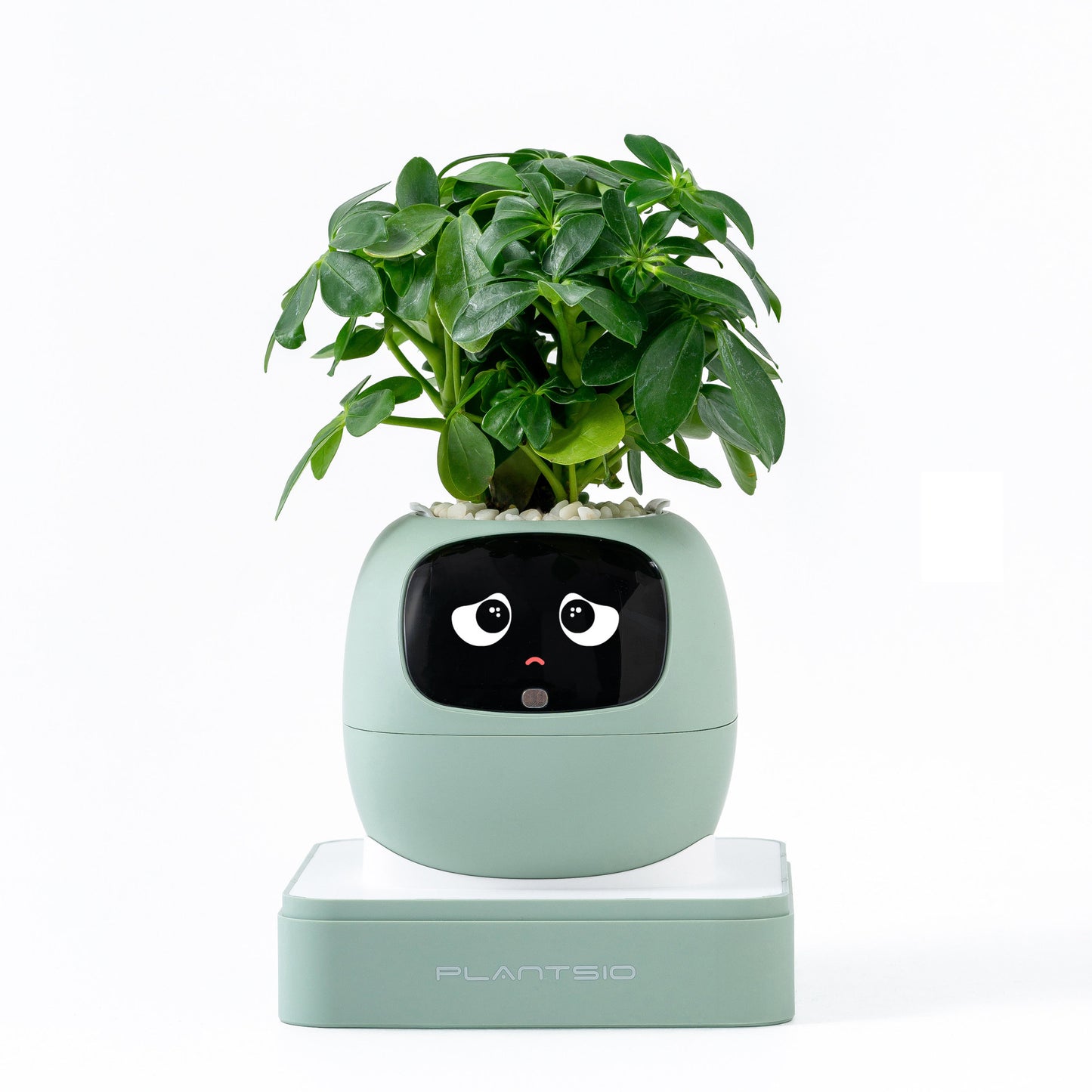 Robot flower pot
