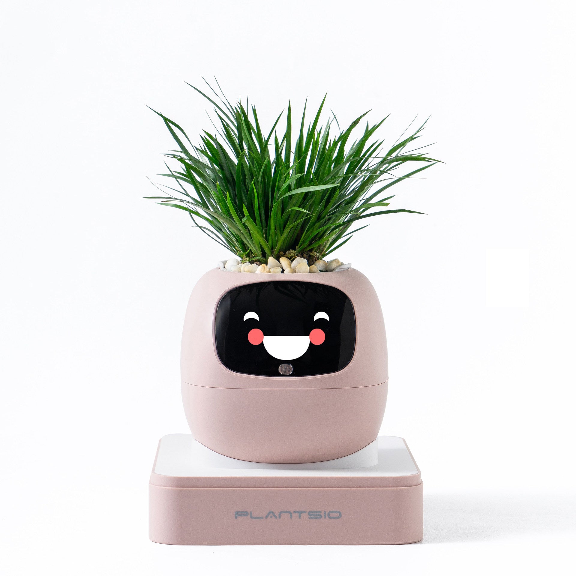 Robot flower pot