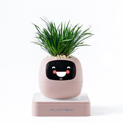 Robot flower pot