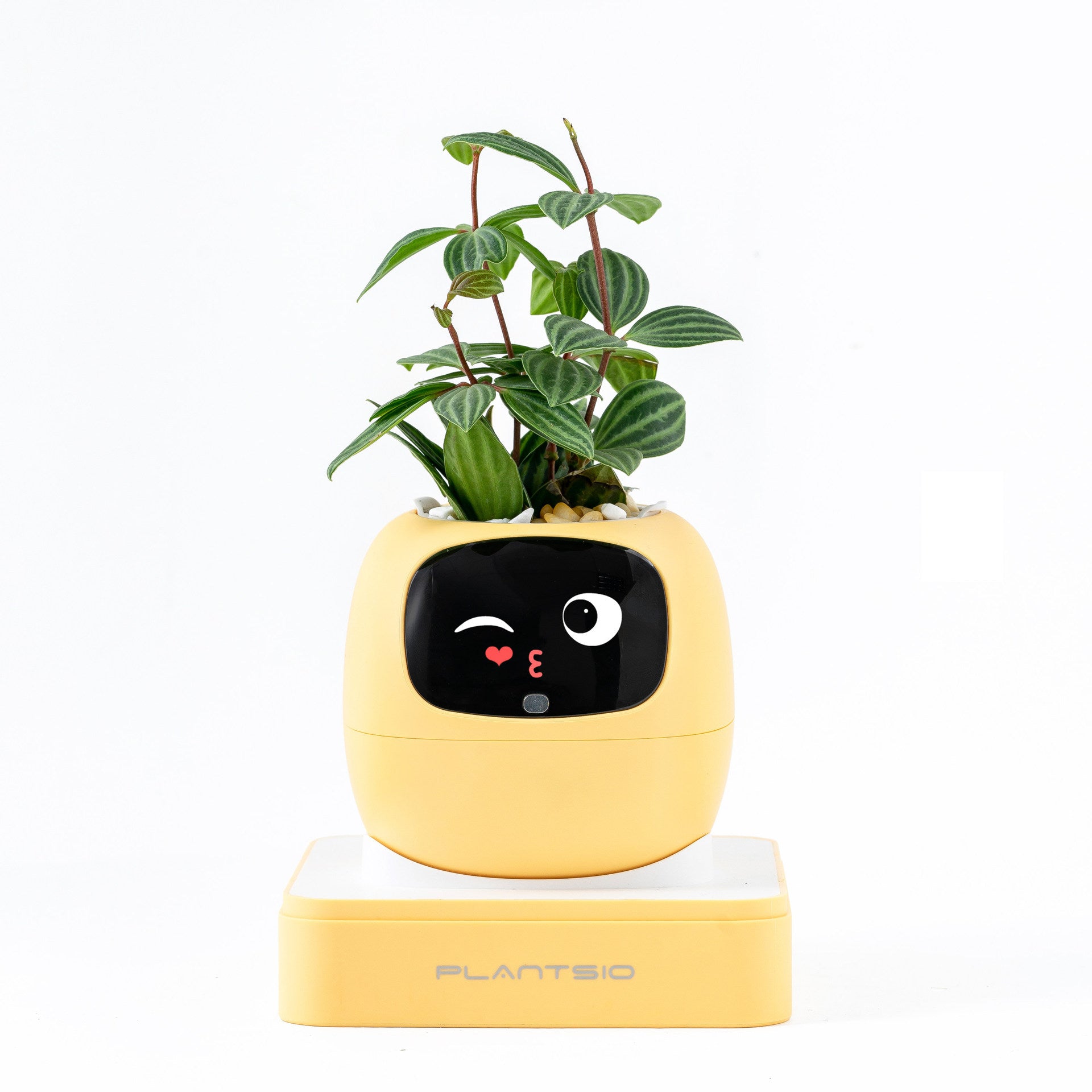 Robot flower pot