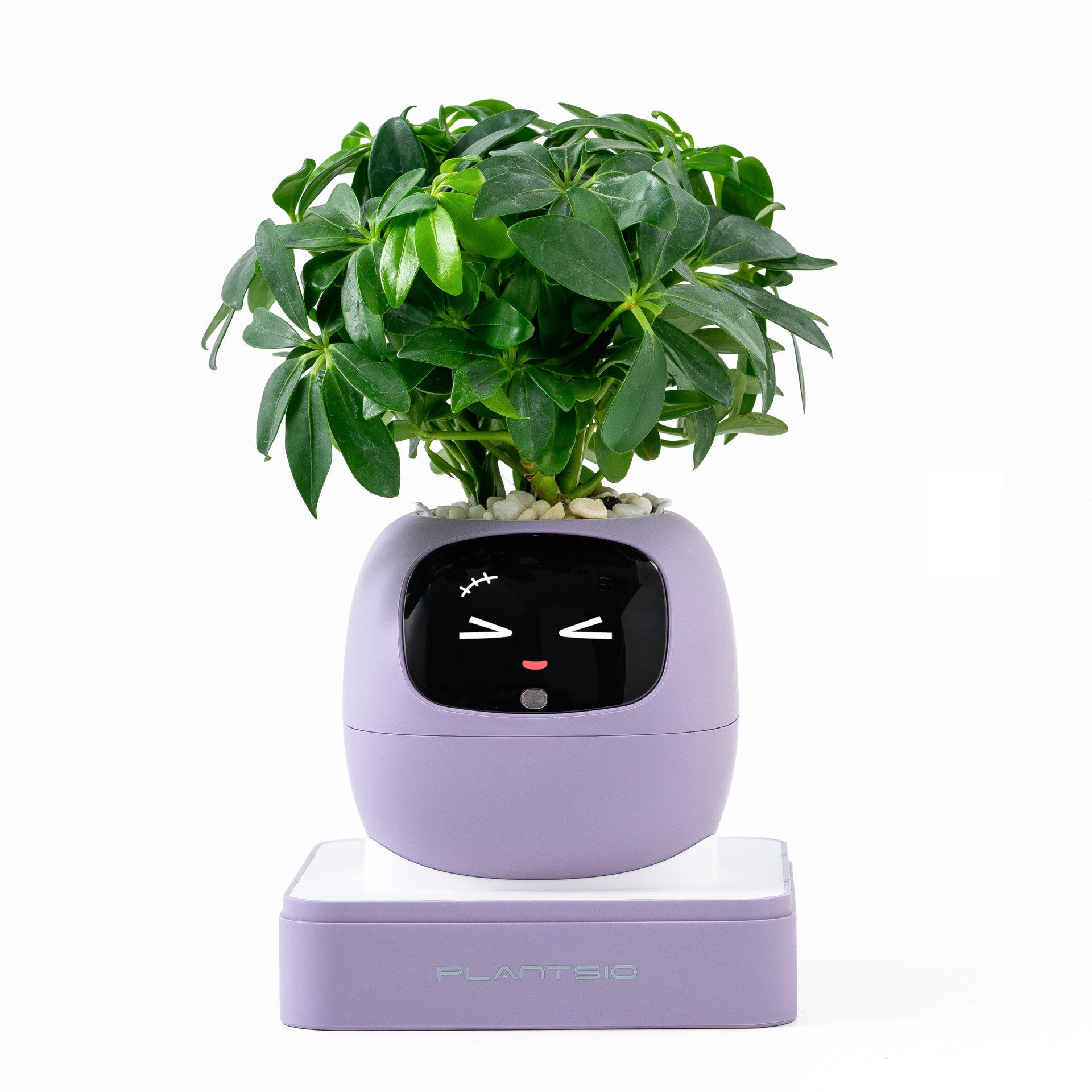 Robot flower pot