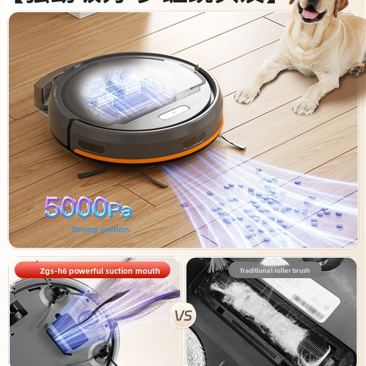 Robotic Cleaner