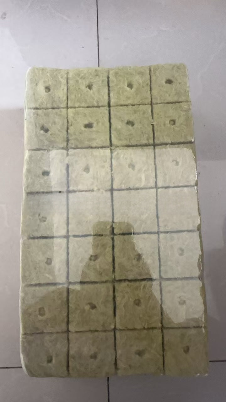 Rockwool cultivation