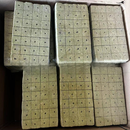 Rockwool cultivation