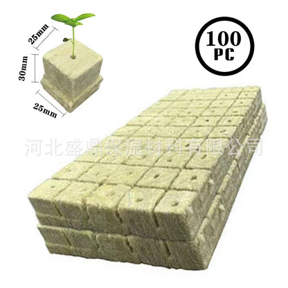 Rockwool cultivation