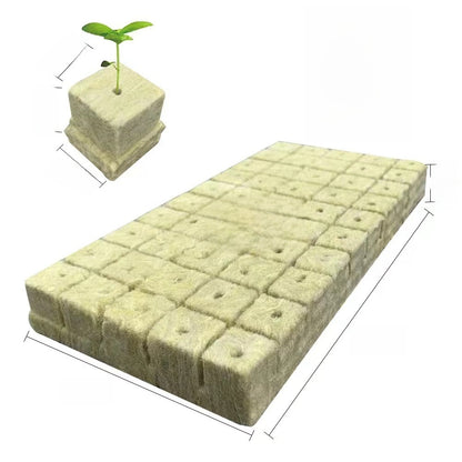 Rockwool cultivation