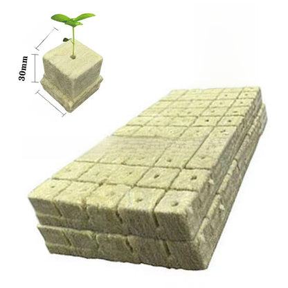Rockwool cultivation