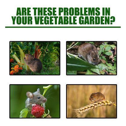 Rodent repellent