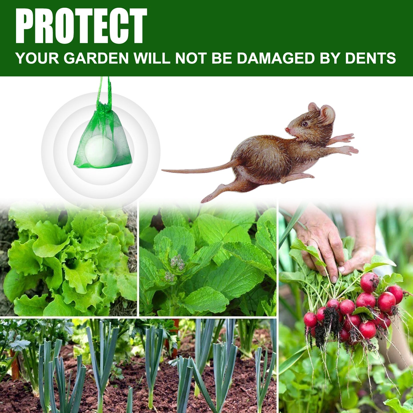 Rodent repellent