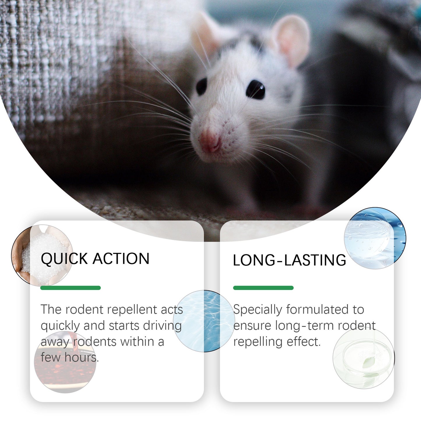 Rodent Repellent Spray
