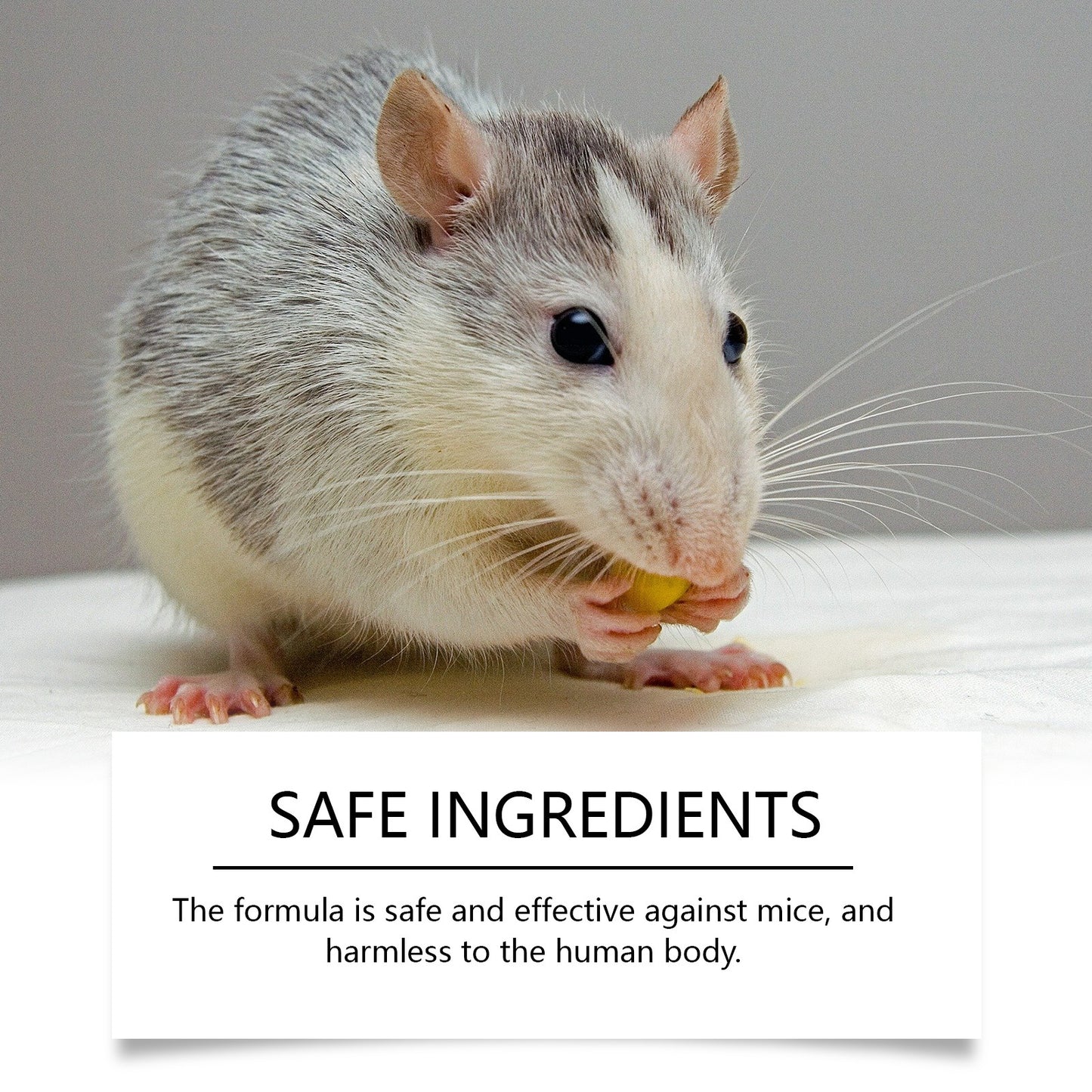 Rodent Repellent Spray