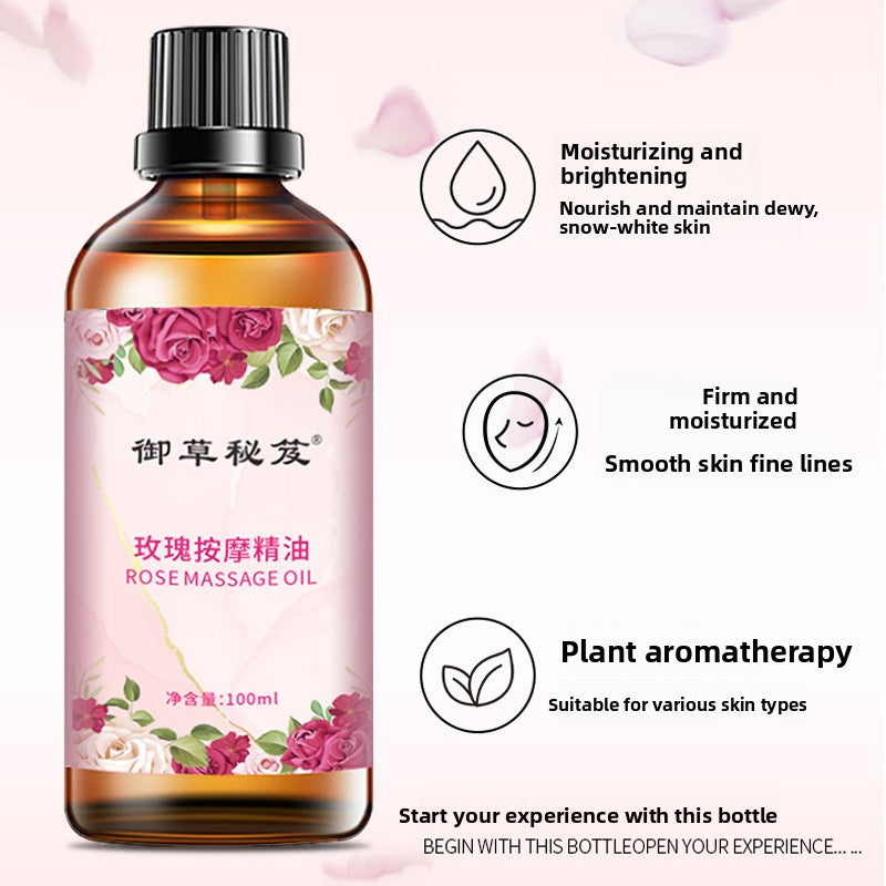 Rose Massage Essential Oil