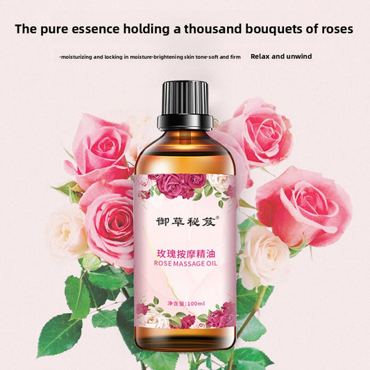 Rose Massage Essential Oil