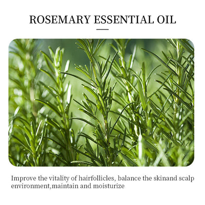 Rosemary essential oil