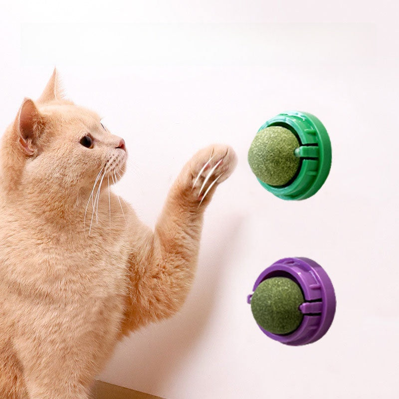 Rotating Catnip Ball Toy