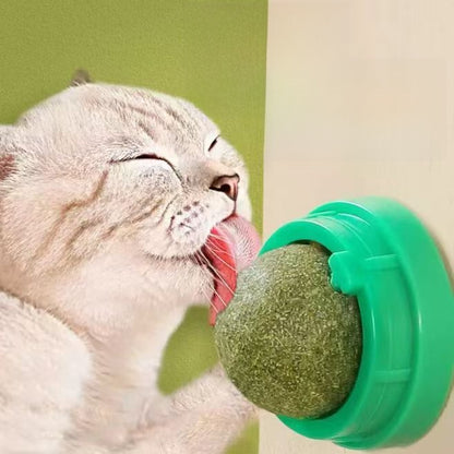 Rotating Catnip Ball Toy