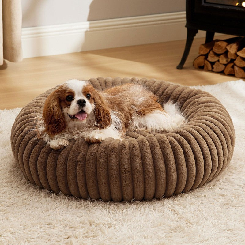 Round cat bed