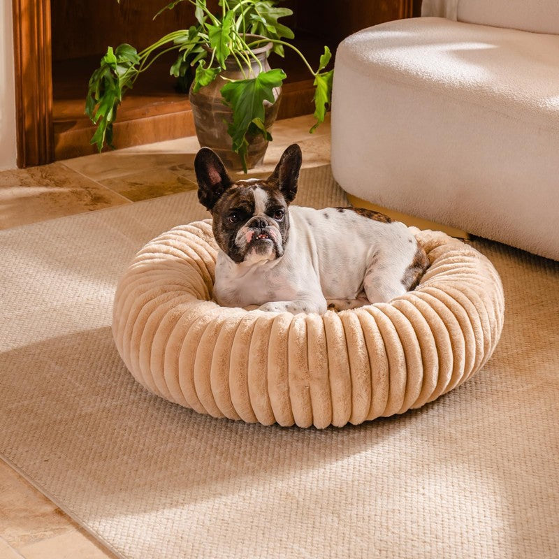 Round cat bed