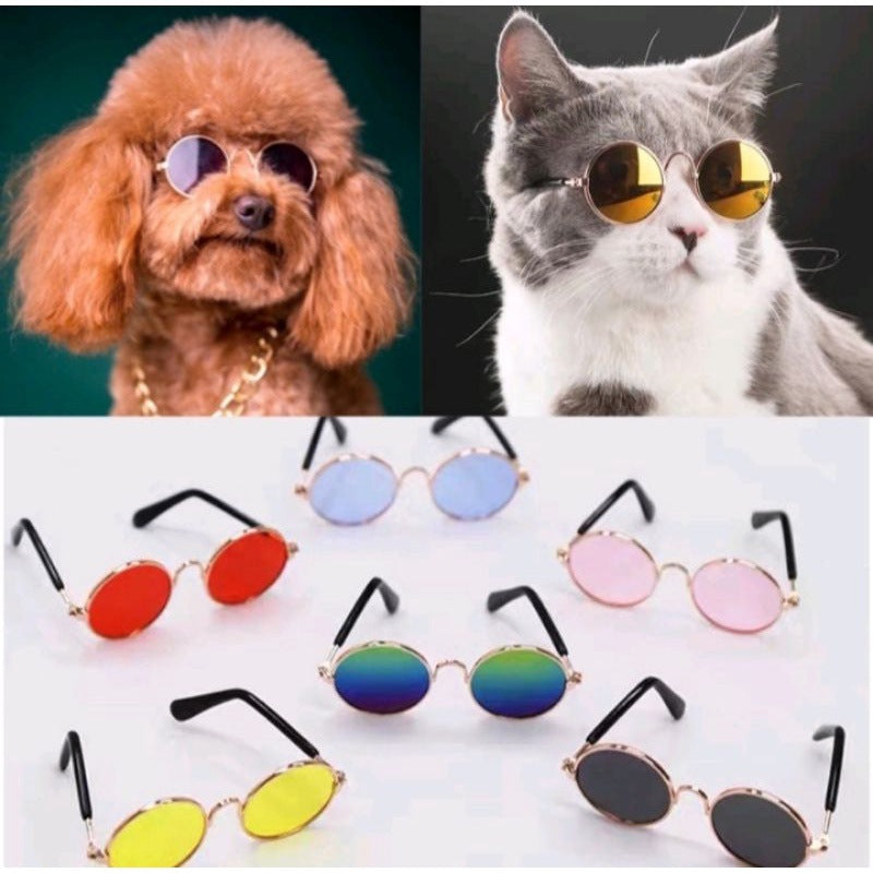Round Frame Pet Sunglasses