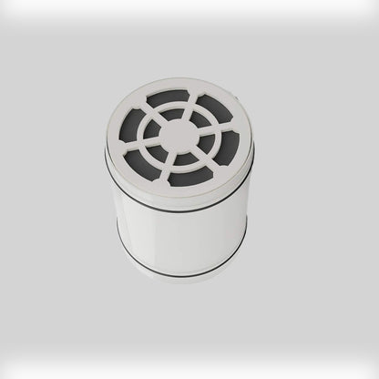 Round Top Shower Head with Dechlorination Filter