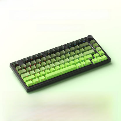 Ruiyi F75 Wireless Mechanical Keyboard