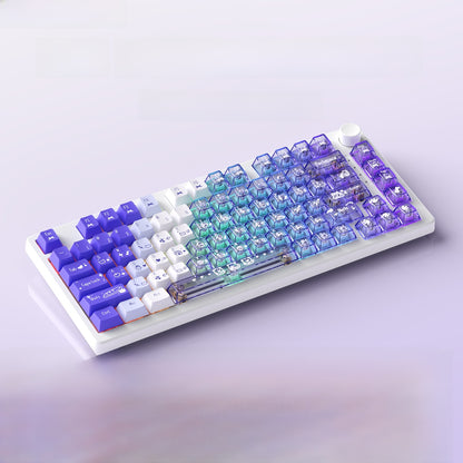 Ruiyi F75 Wireless Mechanical Keyboard